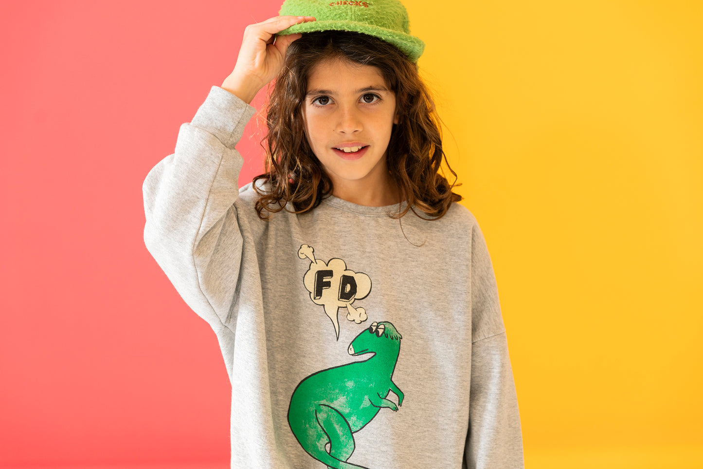 DINOSAURS SWEATSHIRT